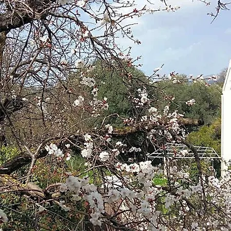 Margarita's Attic-the Loft מלון